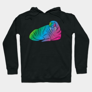 Nothern walrus lights Hoodie